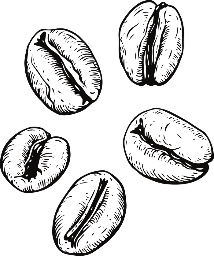 拾柒咖啡 咖啡豆裝飾