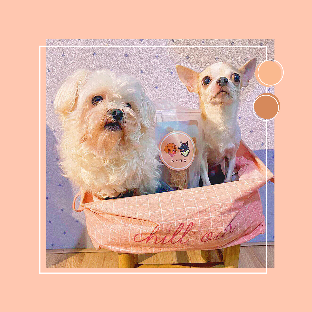 TRIO FLORAL DESIGN 花欉奏花藝