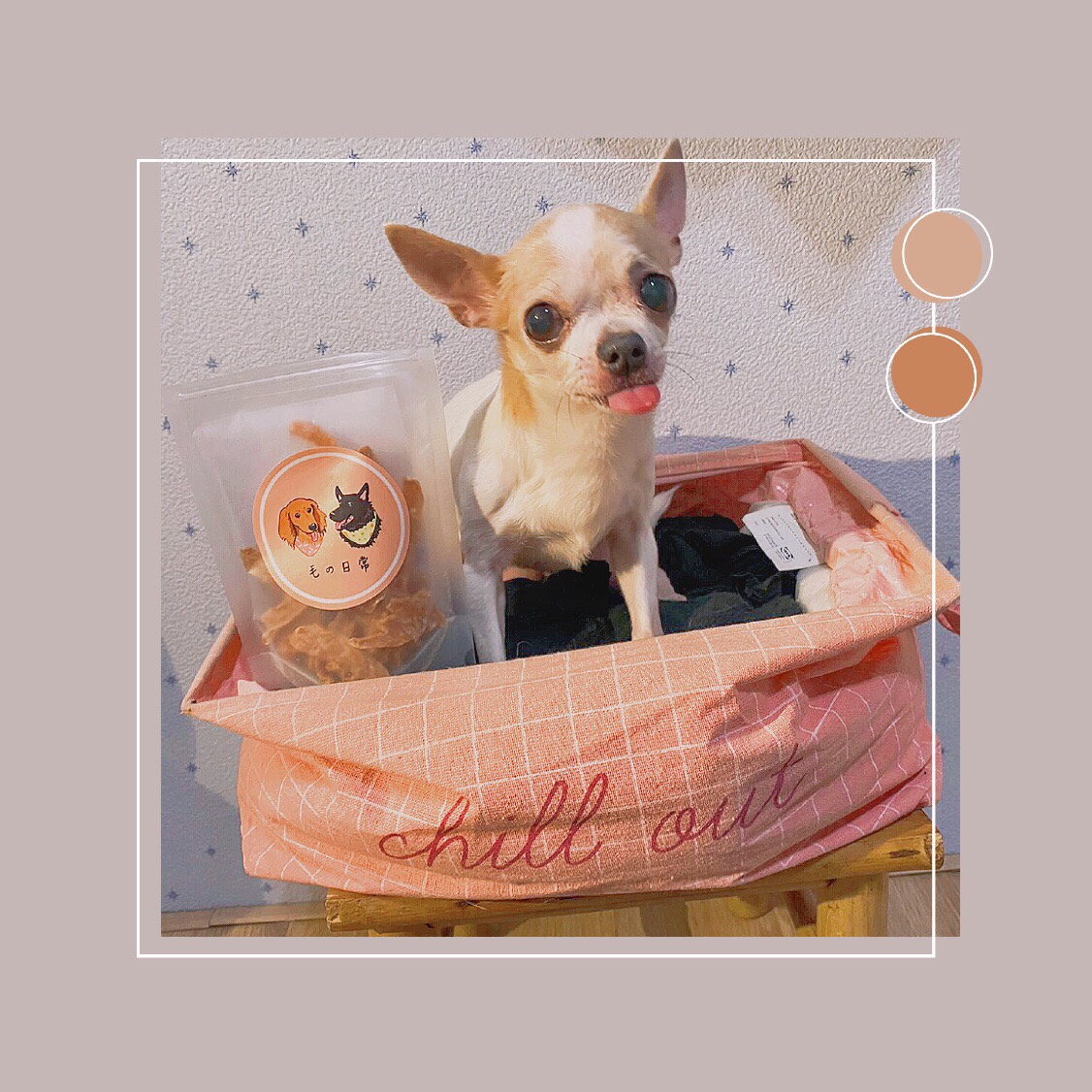 TRIO FLORAL DESIGN 花欉奏花藝