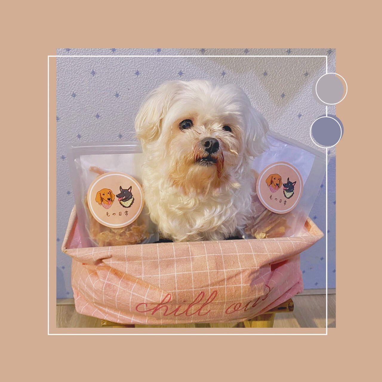 TRIO FLORAL DESIGN 花欉奏花藝