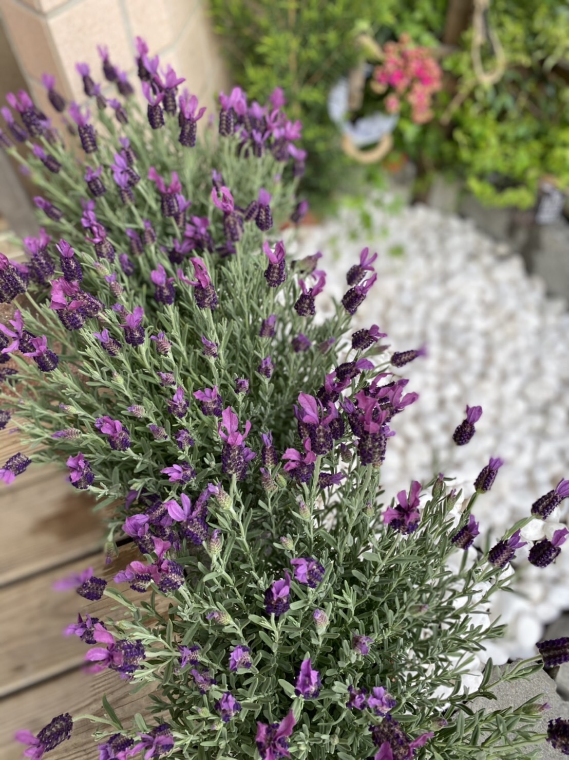 MILKA台北內湖服飾推薦