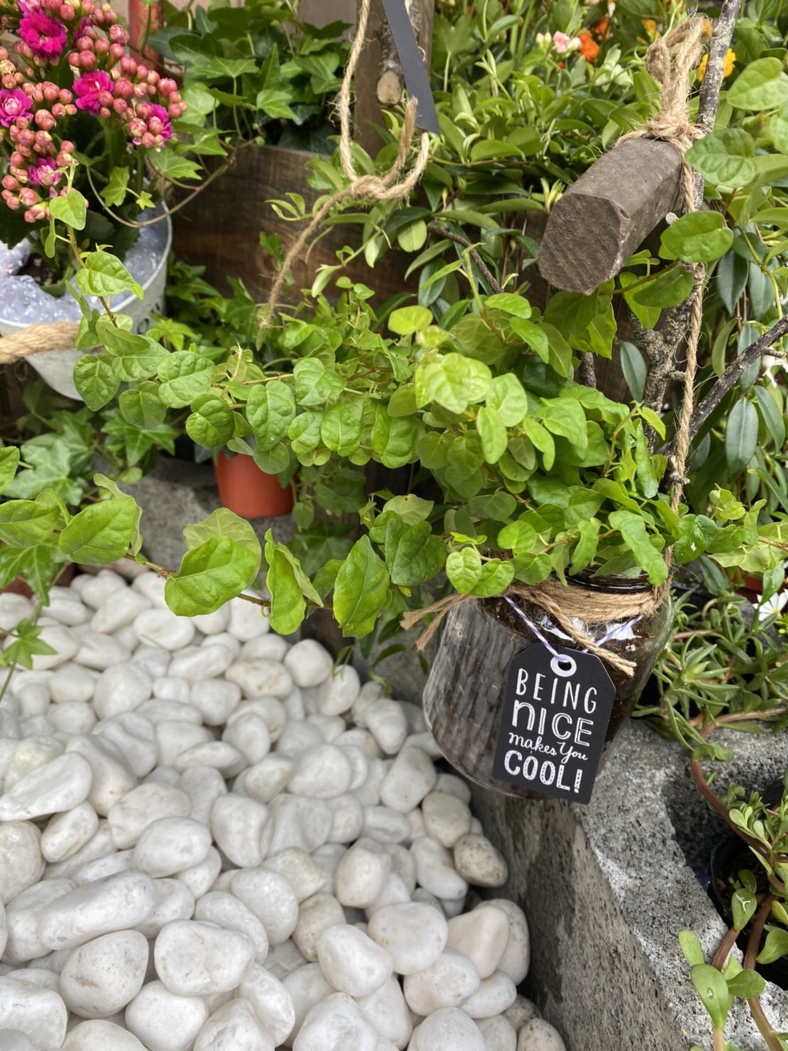 MILKA台北內湖服飾推薦