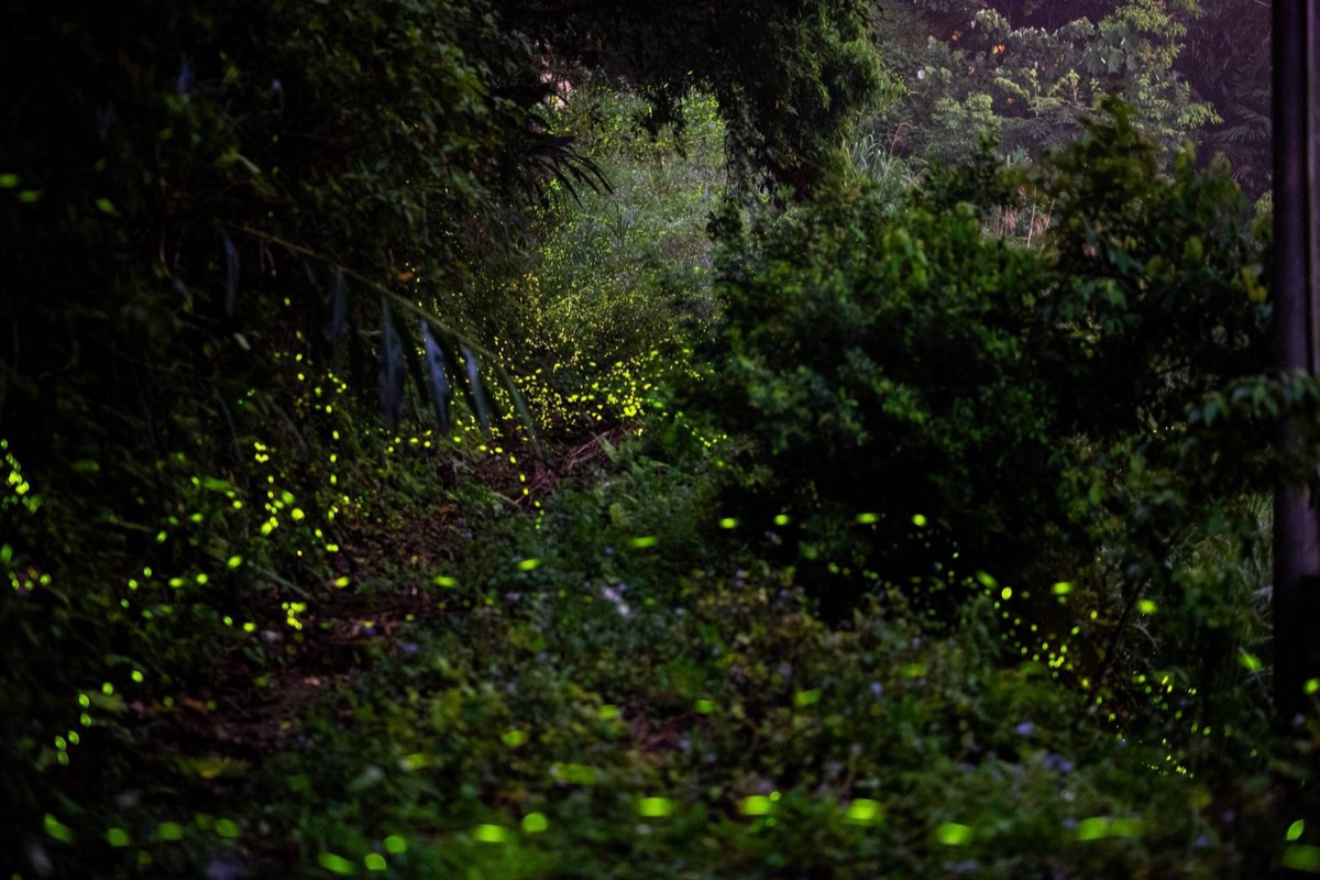 北河莊園民宿/餐廳｜苗栗特色包棟民宿 banner