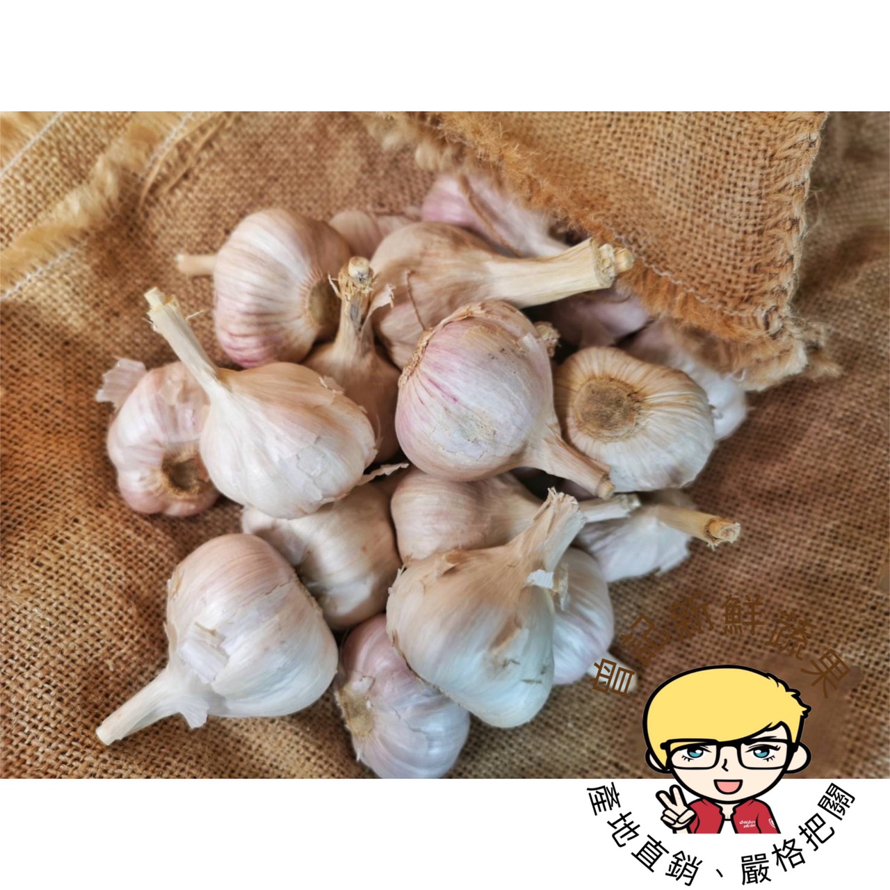 前導飛彈水